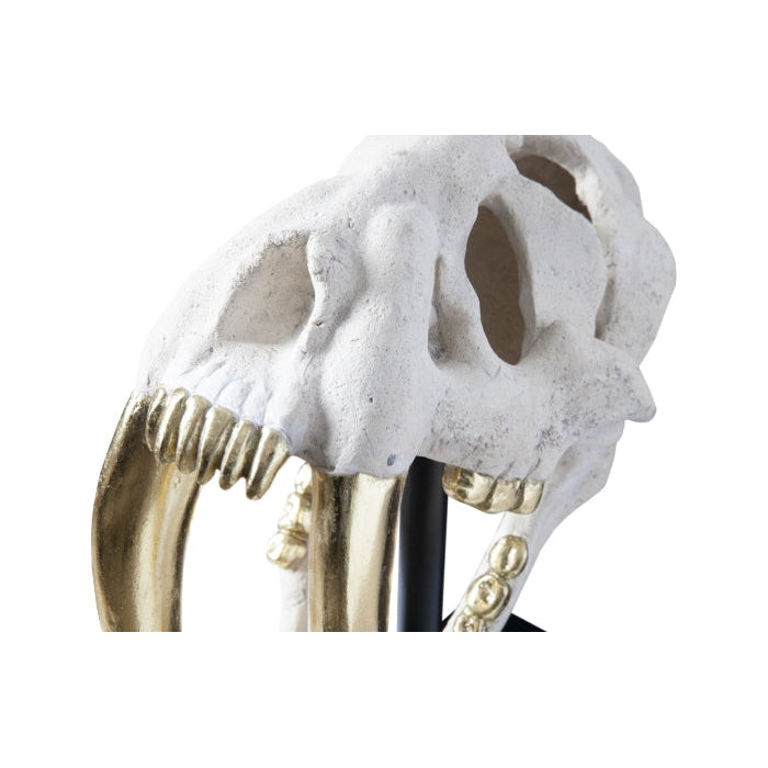 Saber Tooth Tiger Skull-Phillips Collection-PHIL-PH56705-DecorBlack-5-France and Son