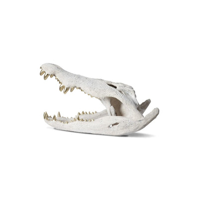 Crocodile Skull Roman Stone-Phillips Collection-PHIL-PH56708-Decorative Objects-2-France and Son