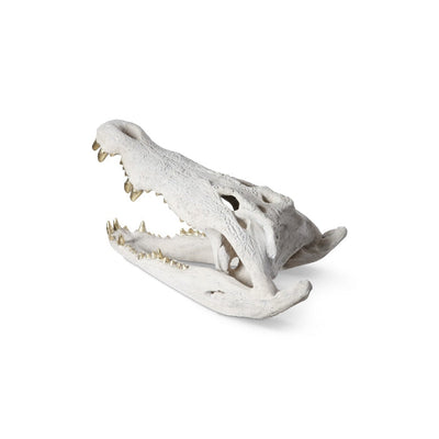 Crocodile Skull Roman Stone-Phillips Collection-PHIL-PH56708-Decorative Objects-3-France and Son