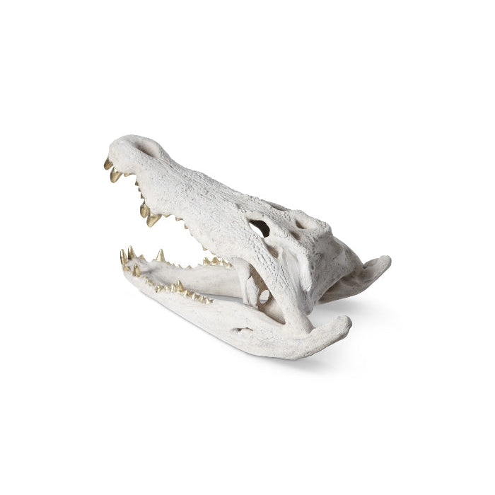Crocodile Skull-Phillips Collection-PHIL-PH67577-DecorBlack & Silver Leaf-10-France and Son