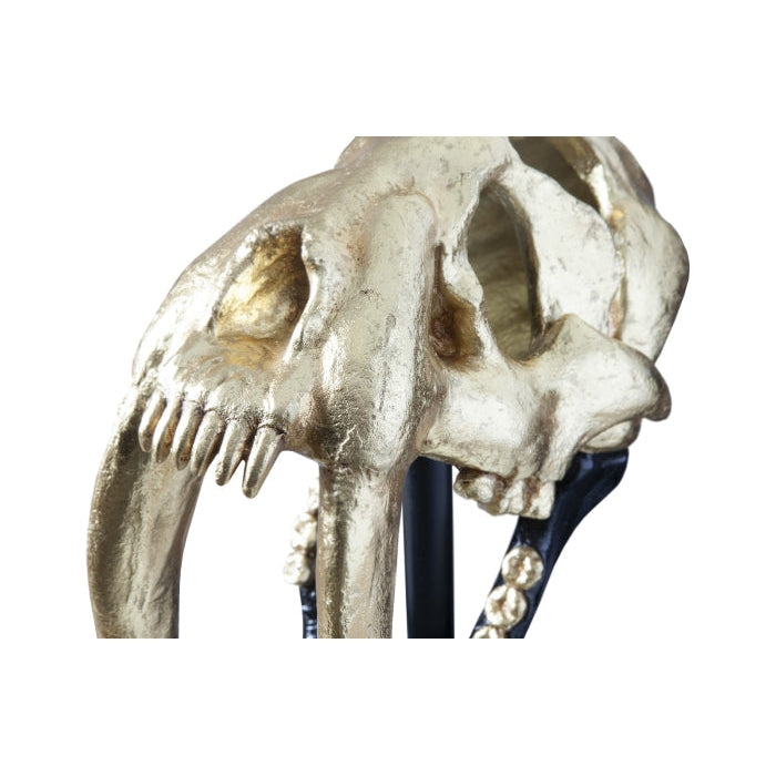 Saber Tooth Tiger Skull-Phillips Collection-PHIL-PH56705-DecorBlack-6-France and Son