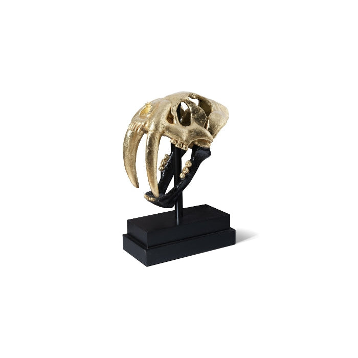 Saber Tooth Tiger Skull-Phillips Collection-PHIL-PH67580-DecorGold-3-France and Son
