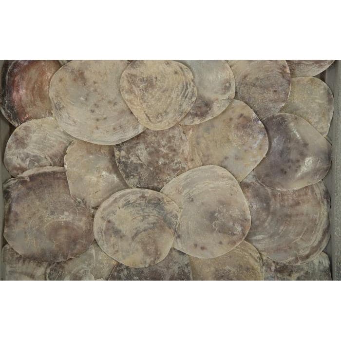 Shell Wall Tile-Phillips Collection-PHIL-PH83147-Wall Art-6-France and Son