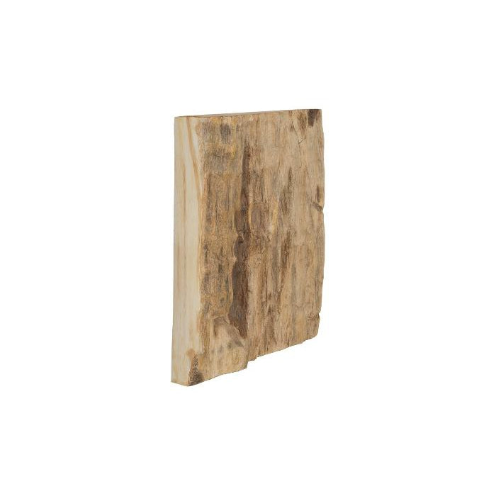 Cast Petrified Wood Wall Tile-Phillips Collection-PHIL-PH89988-Wall ArtSquare-5-France and Son