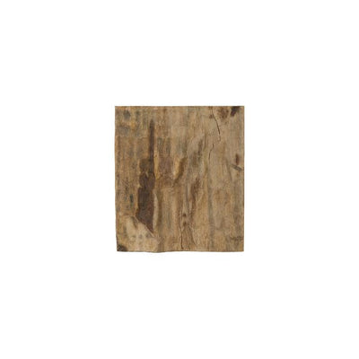 Cast Petrified Wood Wall Tile-Phillips Collection-PHIL-PH89988-Wall ArtSquare-1-France and Son