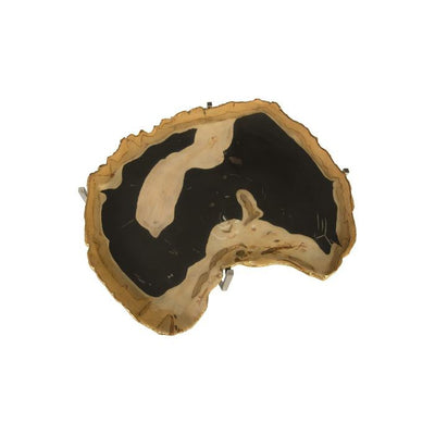 Cast Petrified Wood Tray-Phillips Collection-PHIL-PH92563-Decor-2-France and Son