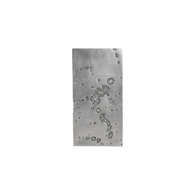 Splotch Wall Art-Phillips Collection-PHIL-PH94493-Wall ArtSilver Leaf-Rectangle II-30-France and Son