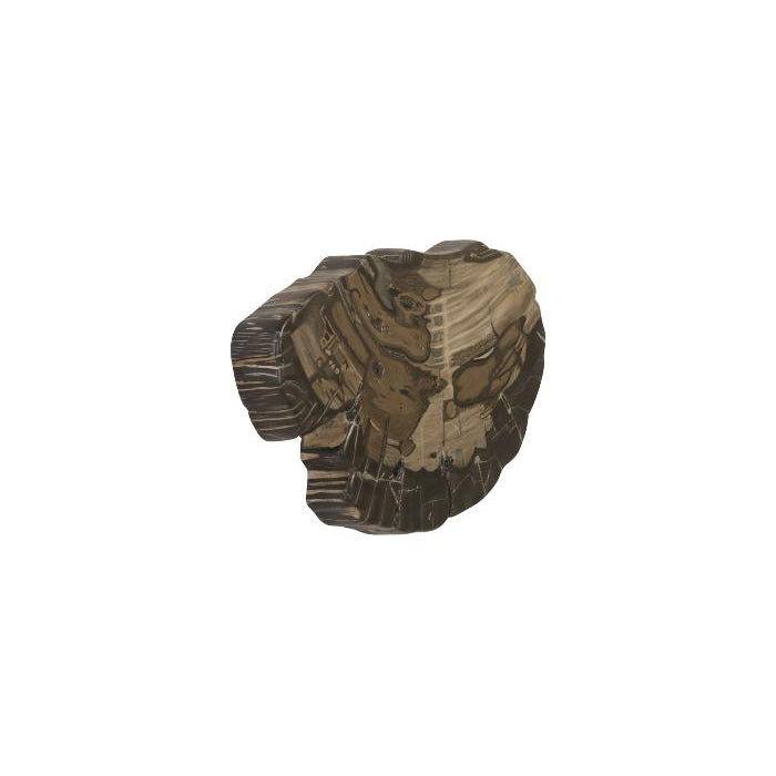 Cast Petrified Wood Wall Tile-Phillips Collection-PHIL-PH89988-Wall ArtSquare-22-France and Son