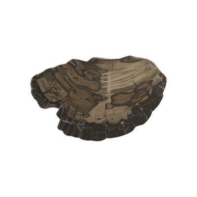 Cast Petrified Wood Wall Tile-Phillips Collection-PHIL-PH94505-Wall ArtLarge Brown-21-France and Son