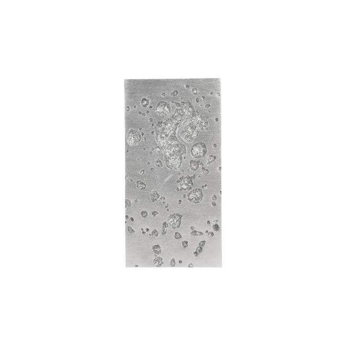 Splotch Wall Art-Phillips Collection-PHIL-PH94510-Wall ArtSilver Leaf-Rectangle III-34-France and Son