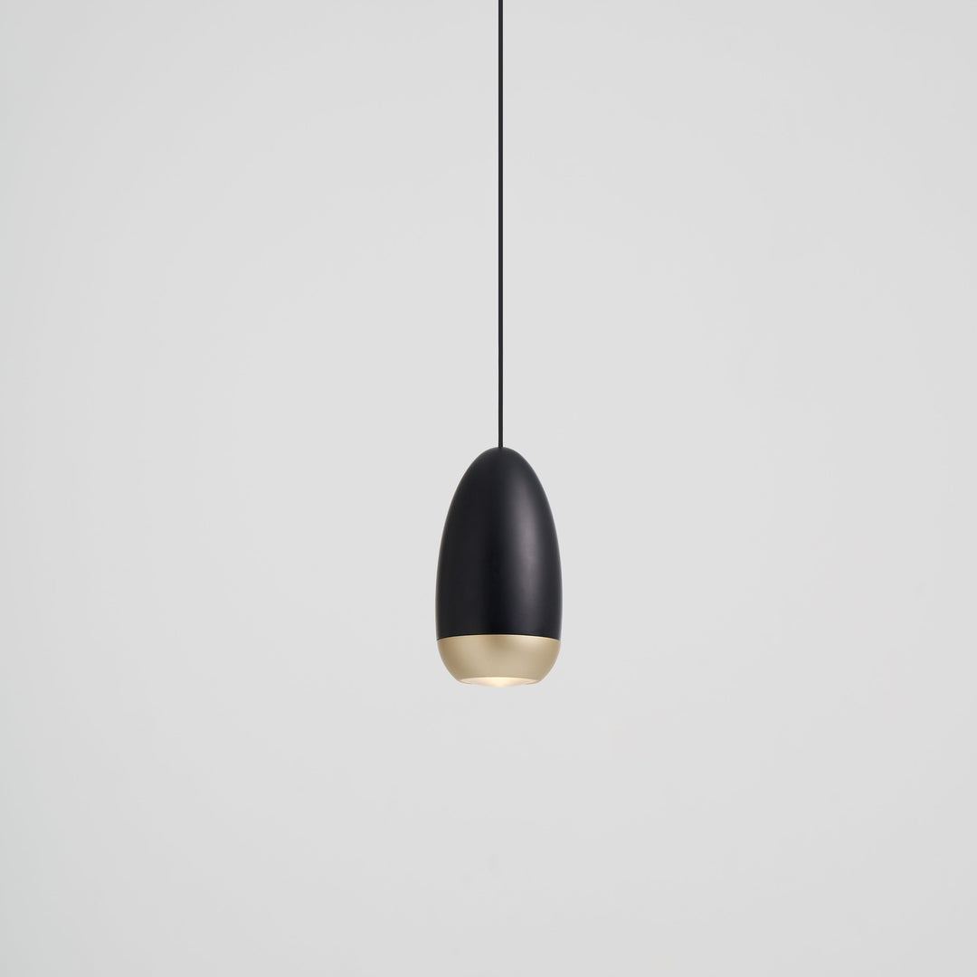 Dawn Pendant-Seed Design-SEED-SLD-81P-GLD-PendantsBlack / Champagne Gold-5-France and Son