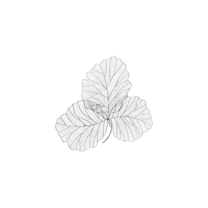 Tri Leaf Wall Art-Phillips Collection-PHIL-TH100855-Wall ArtSilver/Black-Small-2-France and Son
