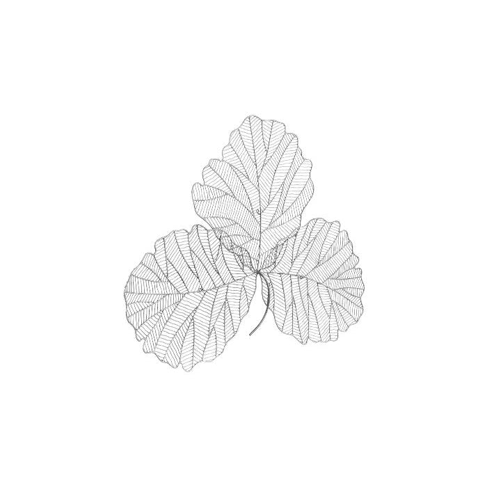 Tri Leaf Wall Art-Phillips Collection-PHIL-TH100855-Wall ArtSilver/Black-Small-4-France and Son