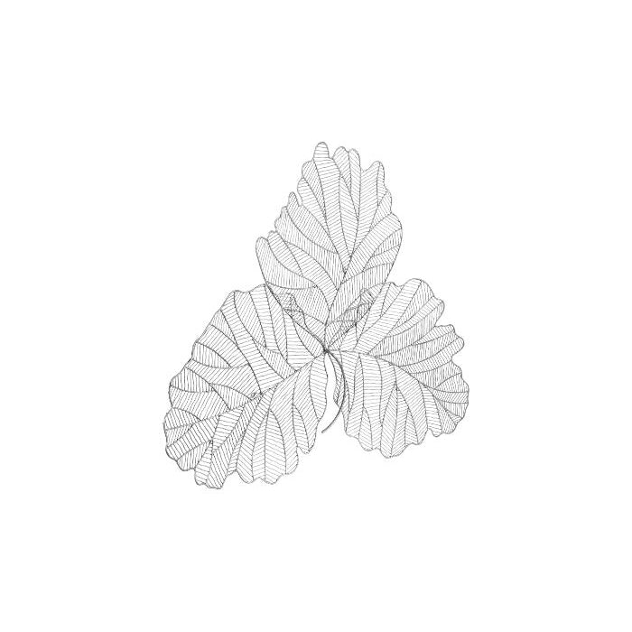 Tri Leaf Wall Art-Phillips Collection-PHIL-TH100855-Wall ArtSilver/Black-Small-6-France and Son