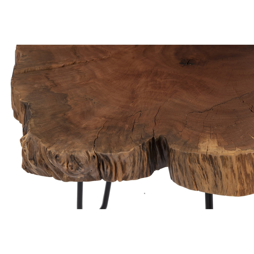 Burled Coffee Table, Black Metal Legs Small-Phillips Collection-PHIL-TH109378-Coffee Tables-3-France and Son