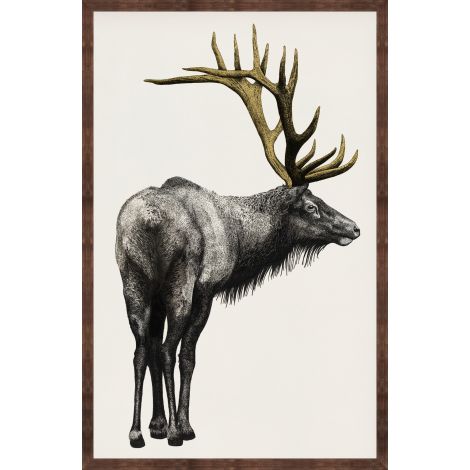 Etched Elk-Wendover-WEND-WAN2256-Wall Art-1-France and Son