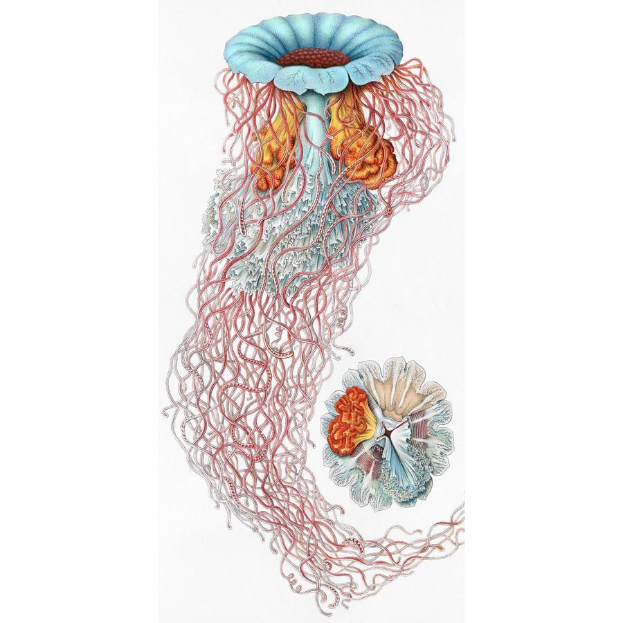 Jellyfish Statement-Wendover-WEND-WCL2377-Wall Art1-1-France and Son