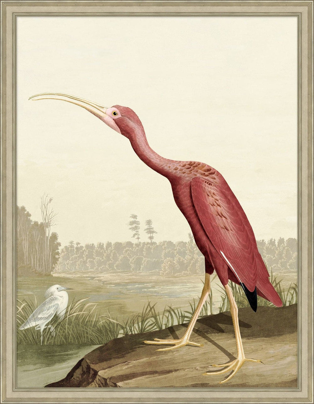 Audubon Ibis-Wendover-WEND-WCL2864-Wall Art2-2-France and Son