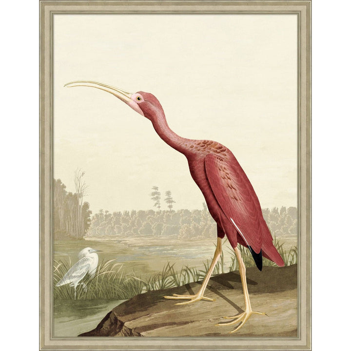 Audubon Ibis-Wendover-WEND-WCL2864-Wall Art2-2-France and Son