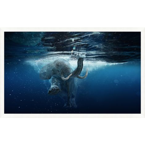 Elephant Swim-Wendover-WEND-WCON172-Wall ArtI-1-France and Son