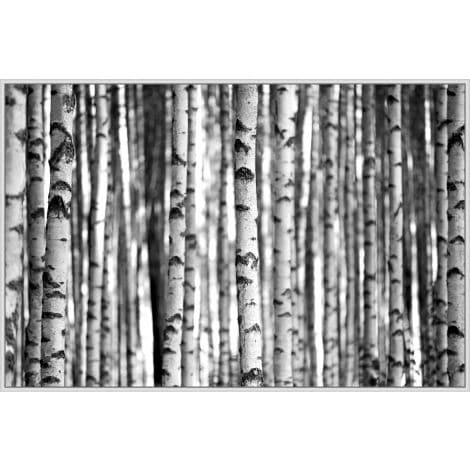 Birch Forest-Wendover-WEND-WLA1970-Wall Art-1-France and Son