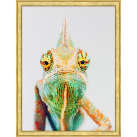 Sassy Chameleon-Wendover-WEND-WPH1752-Wall Art-1-France and Son