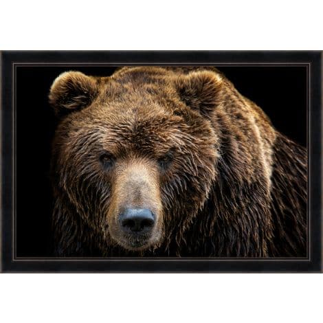 Brown Bear Stare-Wendover-WEND-WPH1753-Wall Art-1-France and Son