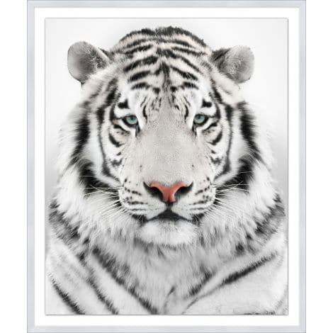 White Tiger Portrait-Wendover-WEND-WPH1754-Wall Art-1-France and Son