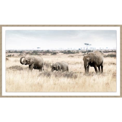 Kenyan Elephant Stroll-Wendover-WEND-WPH1793-Wall Art-1-France and Son