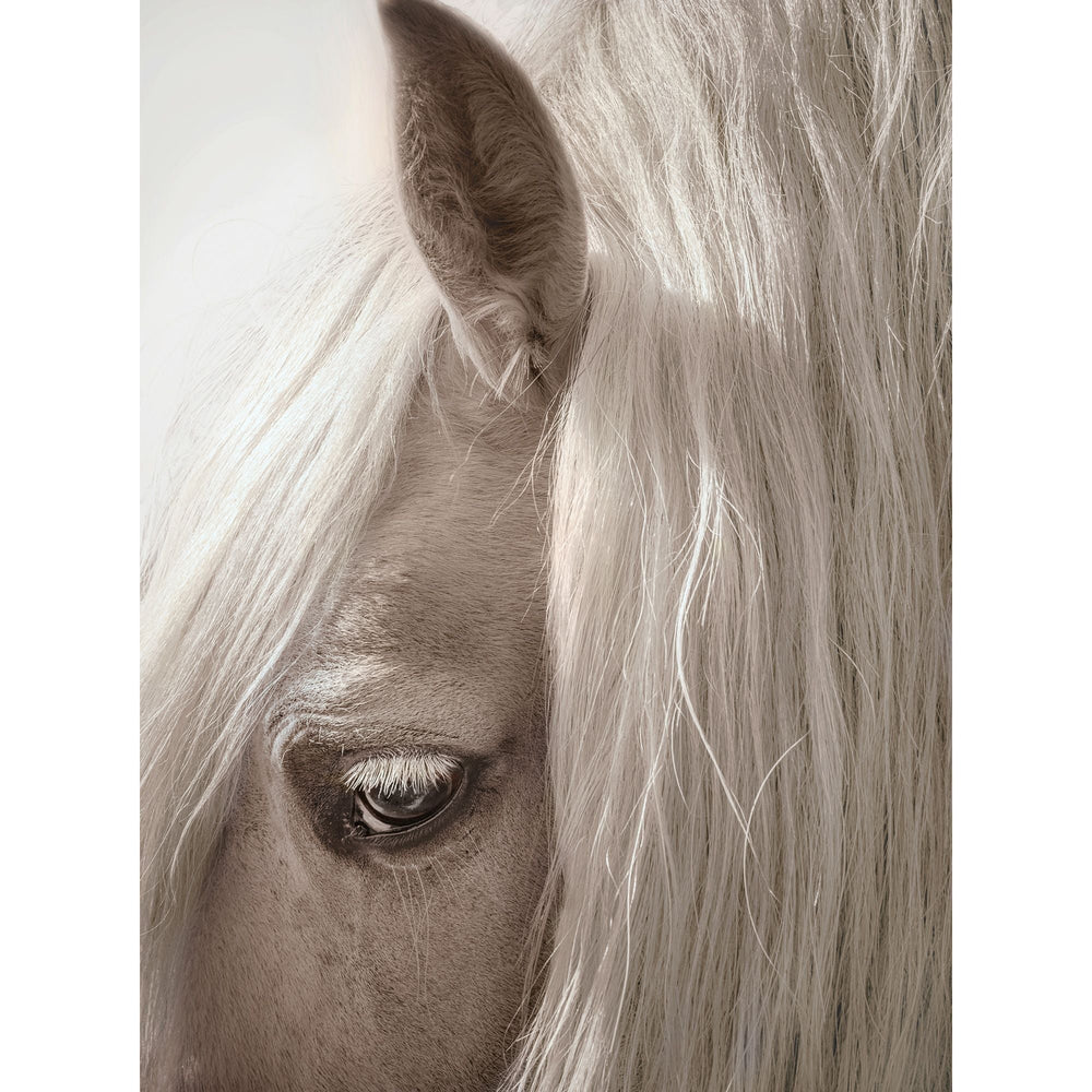 Horse Portrait-Wendover-WEND-WTUR0222-Wall ArtHorse Portrait 2-2-France and Son