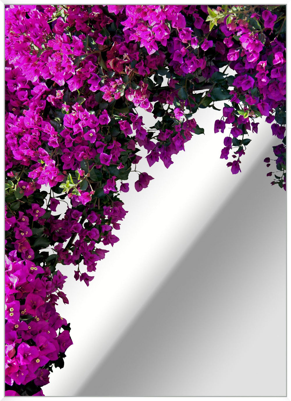 Bougainvillea Mirror-Wendover-WEND-WTUR0368-MirrorsVertical-2-France and Son